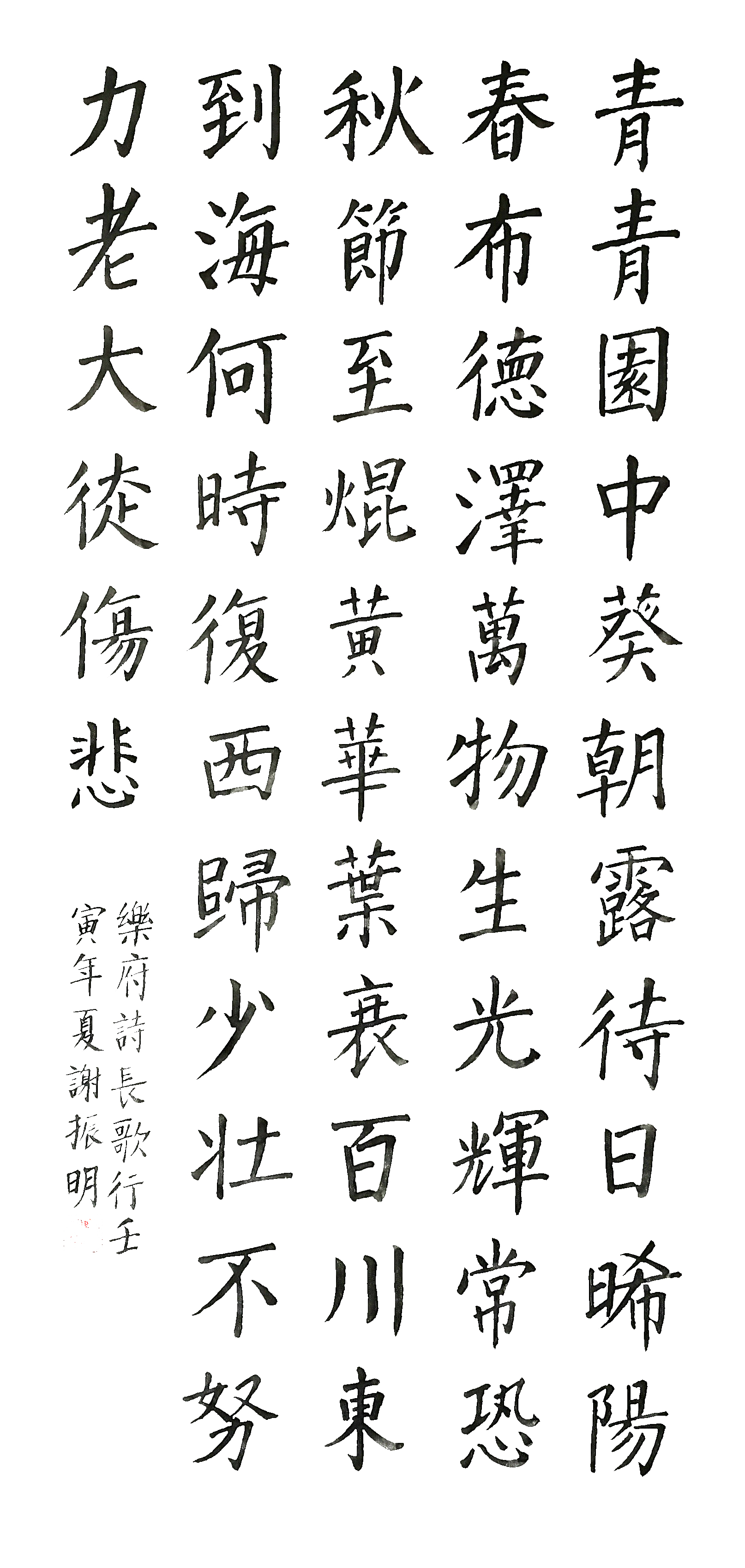 乐府诗《长歌行》136x62cm 壬寅年-
