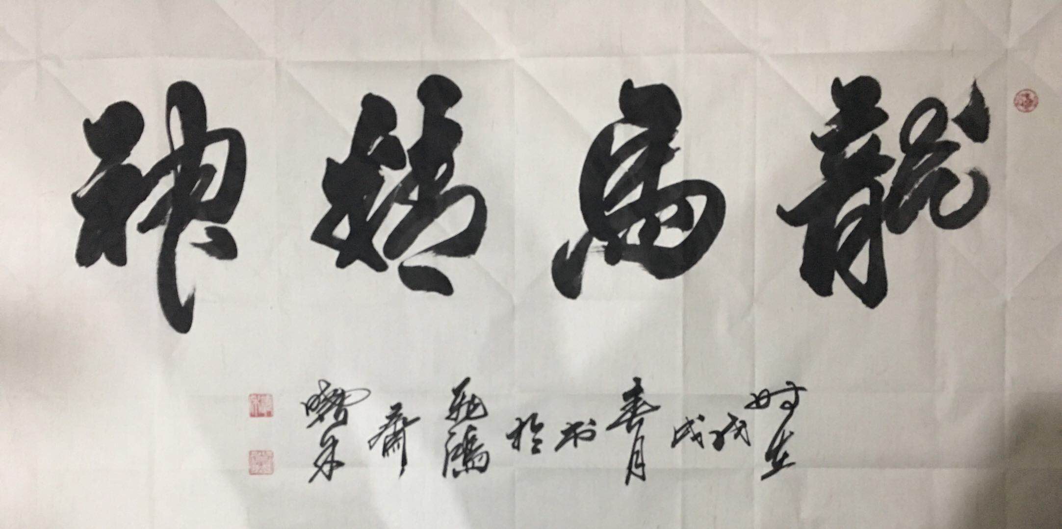 党晓禾作品