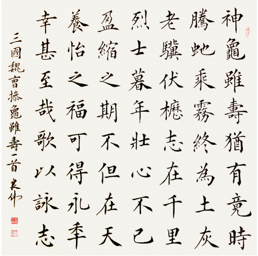 龟虽寿  50X50cm